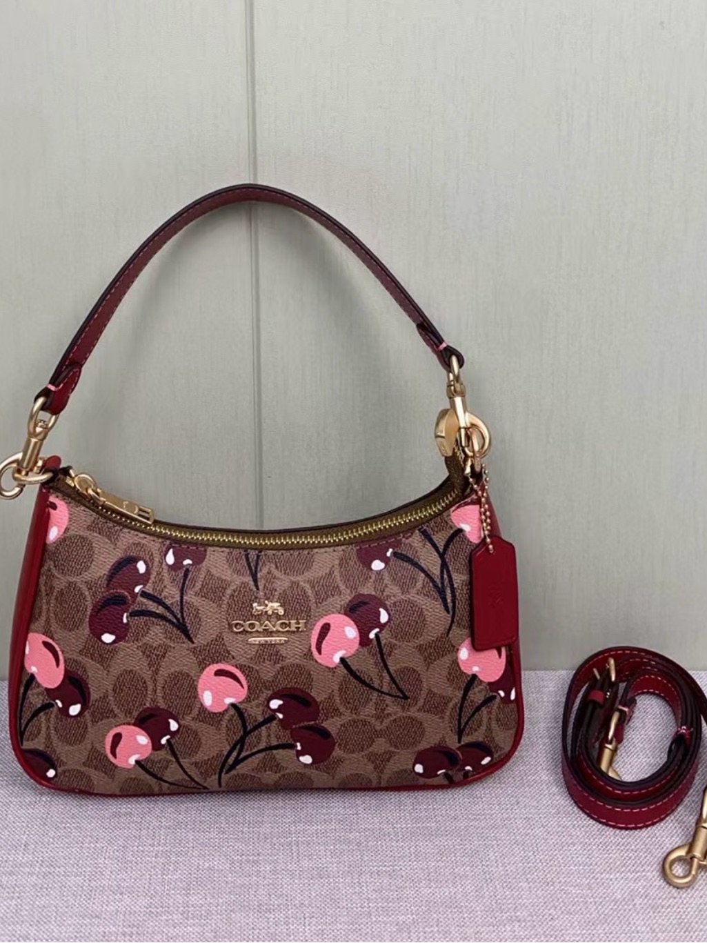 Coach Cherry Print Mini Shoulder Bag In Brown & Red